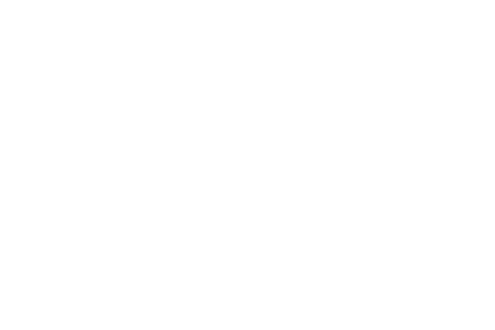 01-LOGO-FAMA-CORPORATE-porsche_02
