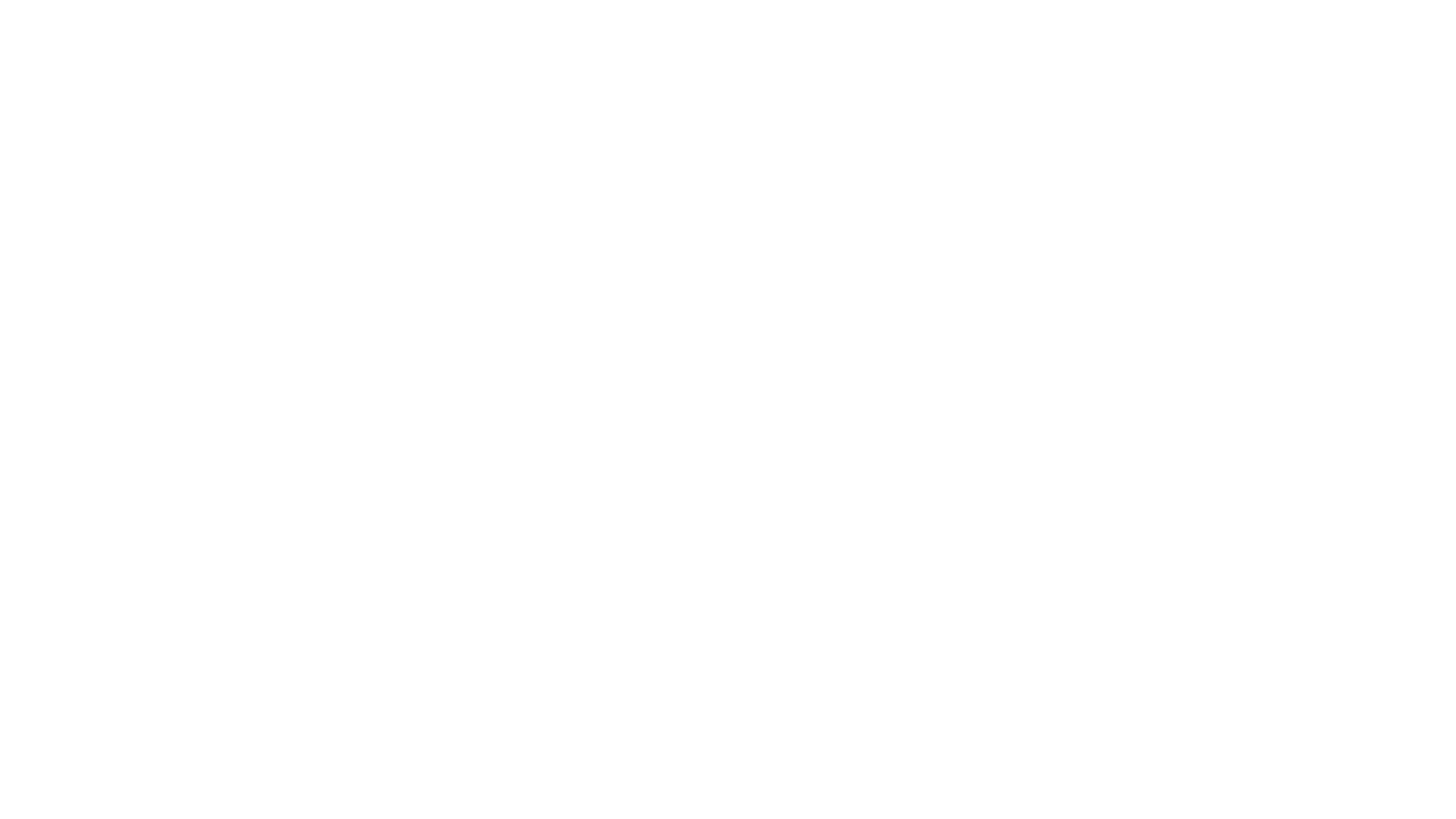 01-LOGO-FAMA-CORPORATE-porsche_02
